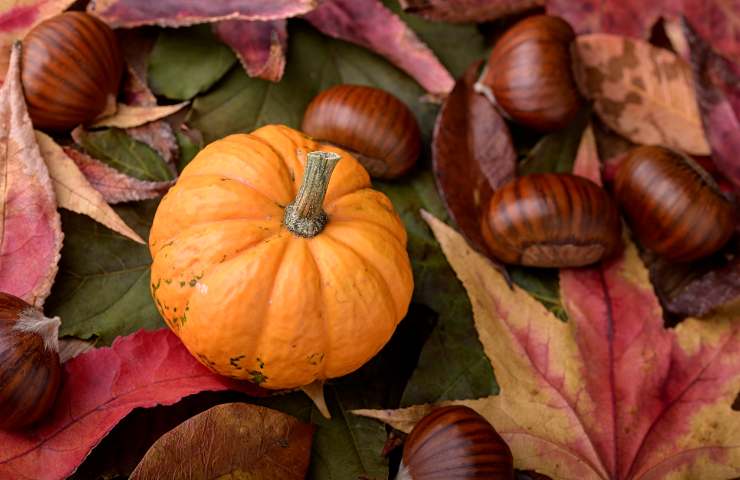 Zucca e castagne