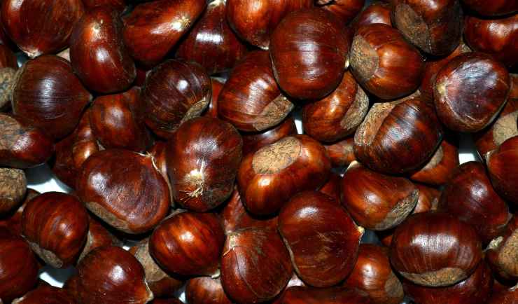 Come fare i tartufi di castagne