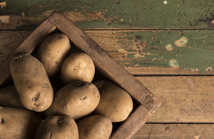 Come fare il gateau di zucca