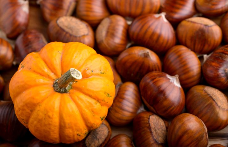 Zucca e castagne