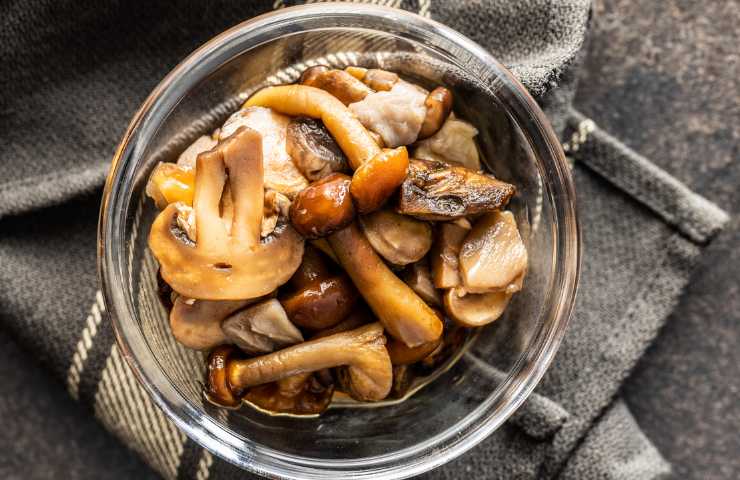 Funghi sott'olio ricetta