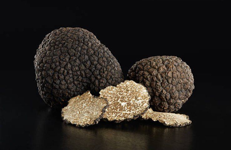 tartufo