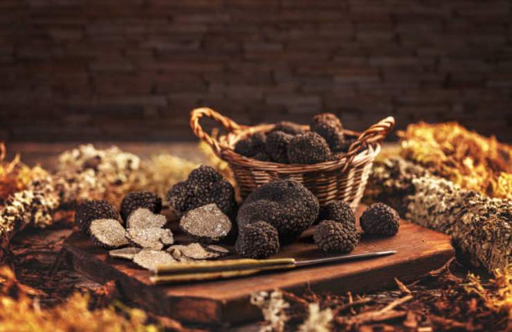 tartufo